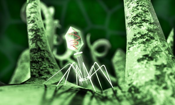 science-virus