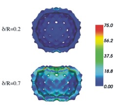 finite element model