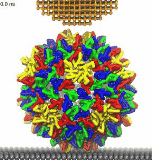 Molecular Dynamics