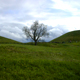Gamla Uppsala