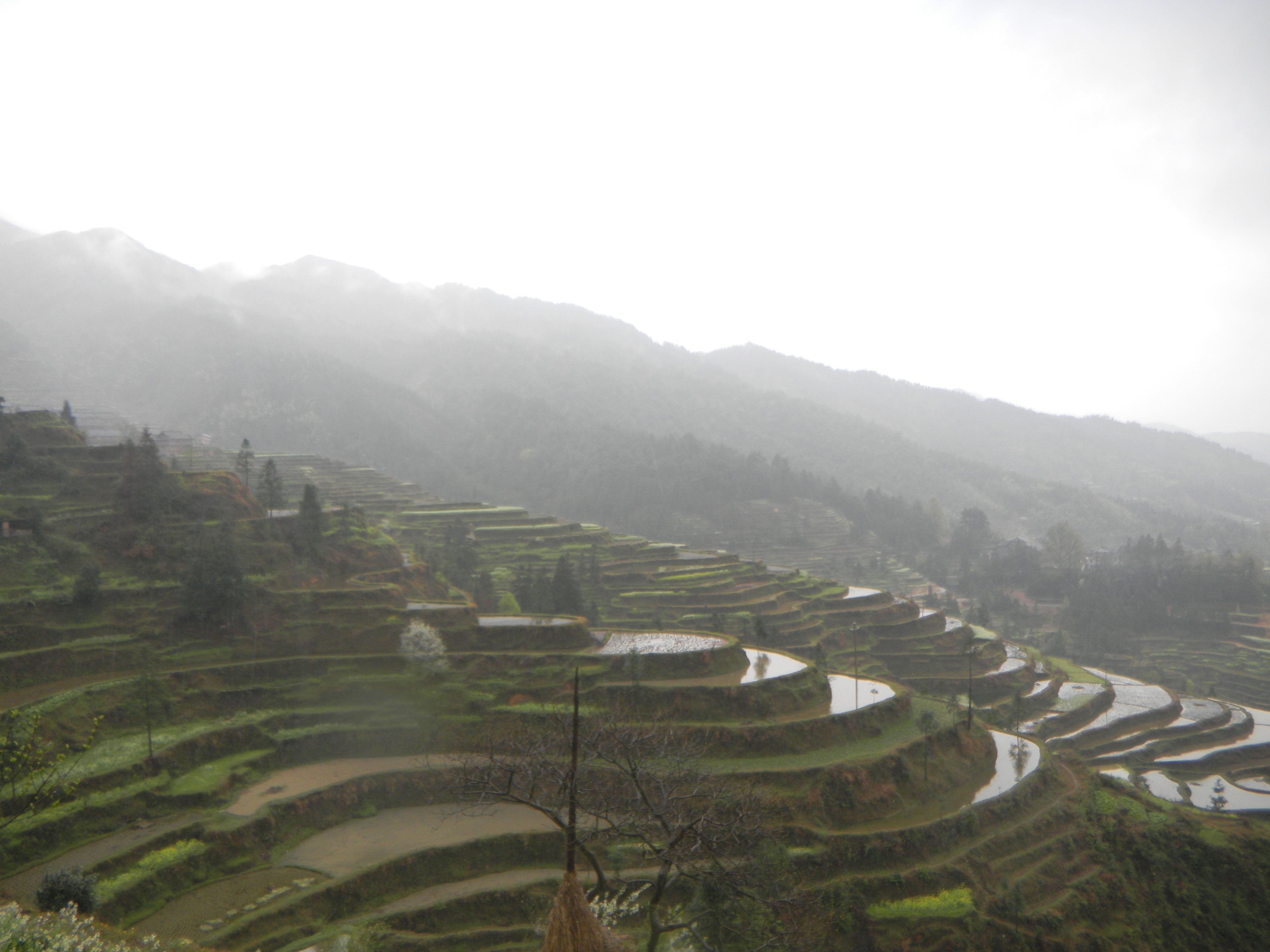asia-20